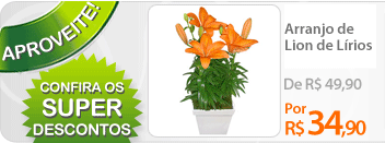 A Nova Flor oferece flores plantadas de diversos tipos: bromélias, azaléias e outros. Faça seu pedido de flores online. A Nova Flor entrega flores em todo Brasil.