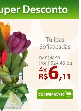 Tulipas Sofisticadas de R$48,90 por R$24,45