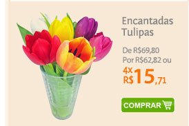 Encantadas Tulipas de R$69,80 por R$62,82