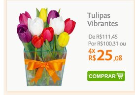 Tulipas Vibrantes de R$111,45 por R$100,31